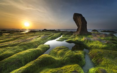 Gaat deze groene smurrie wereldproblemen oplossen?