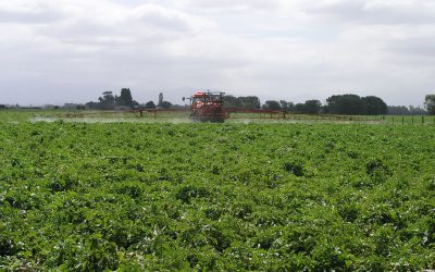 Lokale uitdagingen voor duurzame consumptie en productie